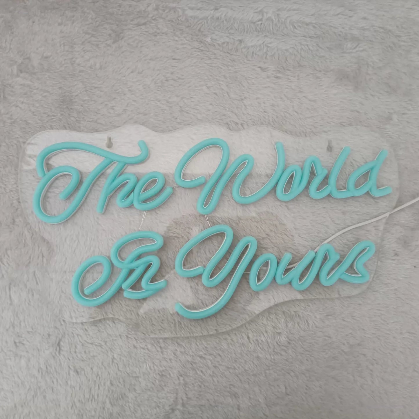 LED Neon Sign The World Is Yours