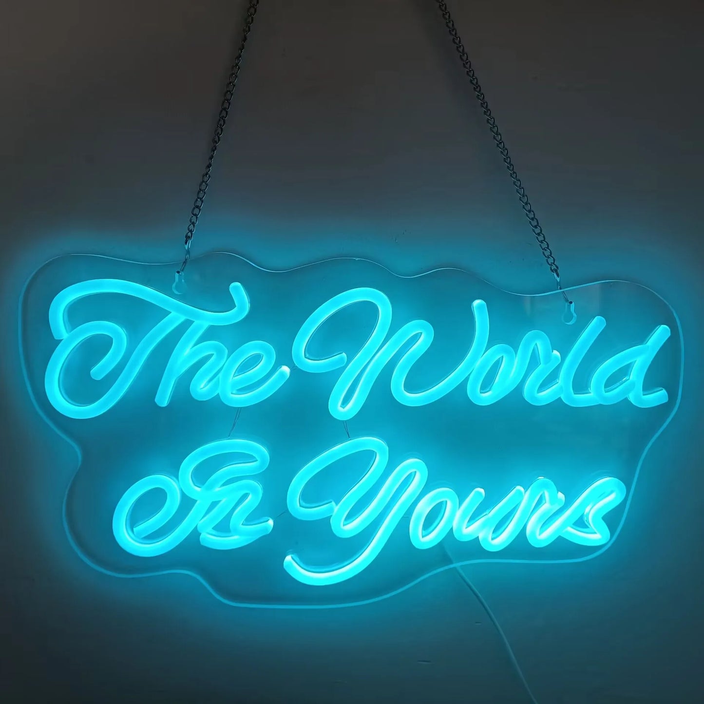 LED Neon Sign The World Is Yours